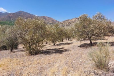 spcrm2710-rapeqhvr3nyiklpo