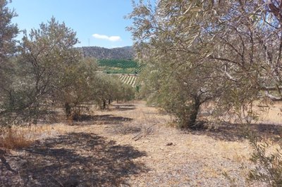 spcrm2710-bu9ei9mucgnwqcvx