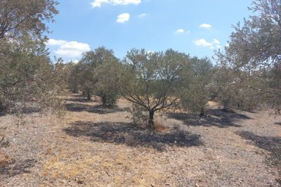 spcrm2710-cphcuudywgtdyne4