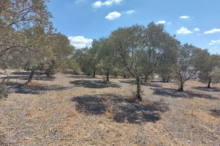 Image No.13-Plot for sale