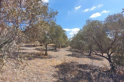 spcrm2710-8f66ozvprcdcomrr