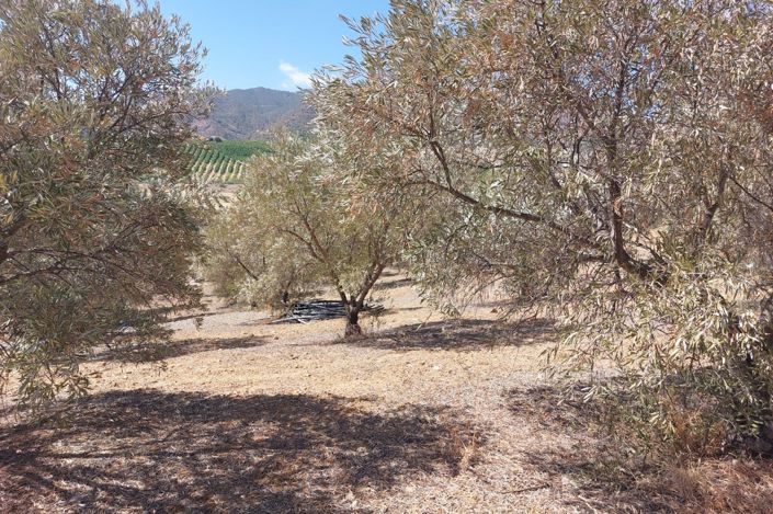 Image No.5-Plot for sale