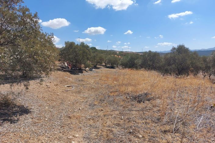 Image No.7-Plot for sale