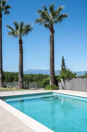 spcrm2651-gzxpyuif4lddhjpx