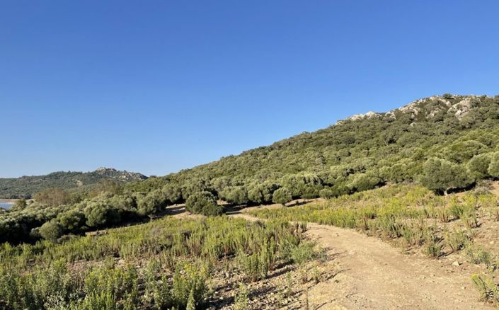 Image No.15-Finca de 3 chambres à vendre à Castellar de la Frontera