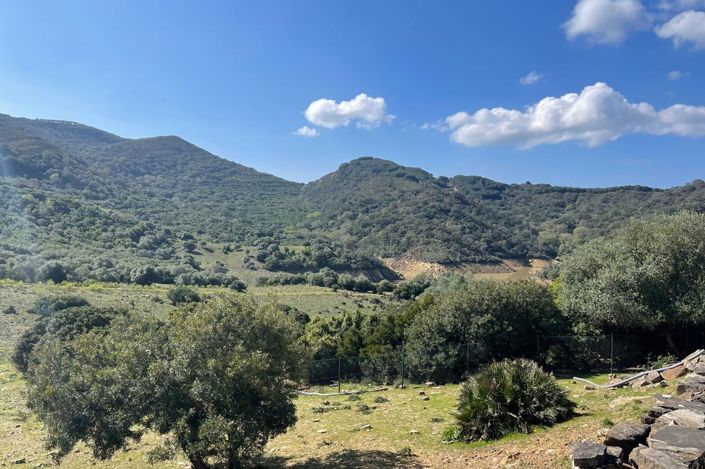 Image No.27-Finca de 3 chambres à vendre à Castellar de la Frontera