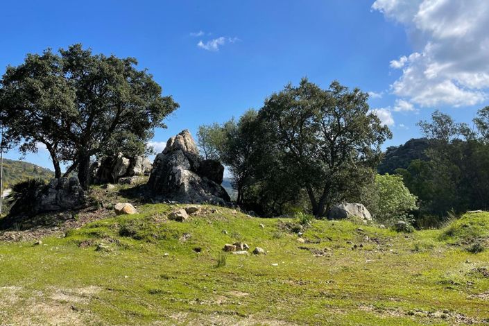 Image No.28-Finca de 3 chambres à vendre à Castellar de la Frontera