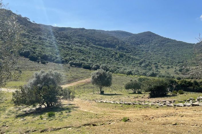 Image No.31-Finca de 3 chambres à vendre à Castellar de la Frontera