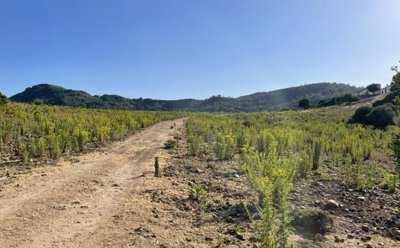 spcrm3116-hz3kngzizbnhsr37