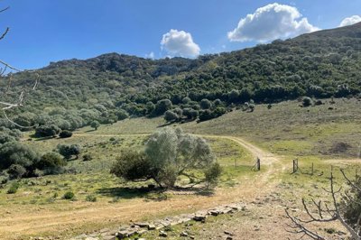 spcrm3116-bx8zjmrzjbce8krc