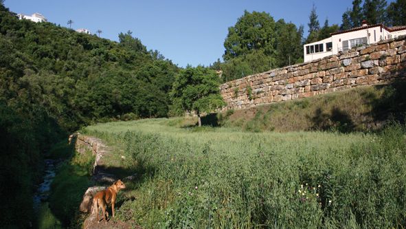 Image No.6-Terrain à vendre à Benahavis