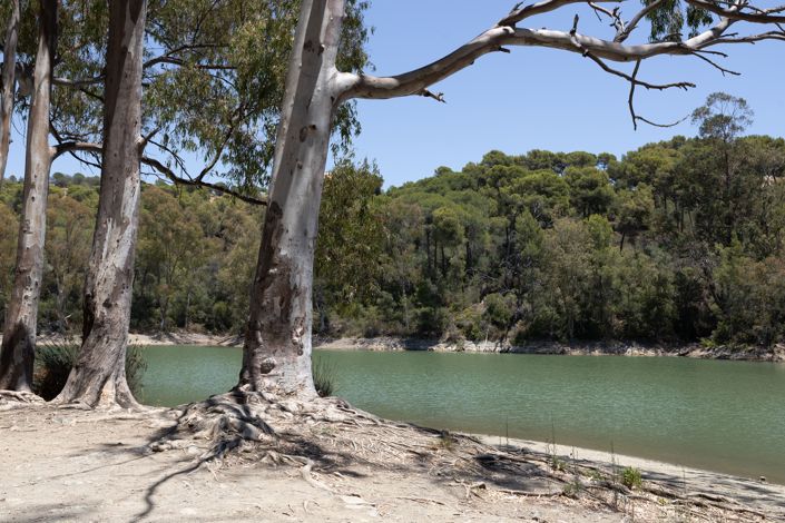 Image No.9-Penthouse de 3 chambres à vendre à Marbella