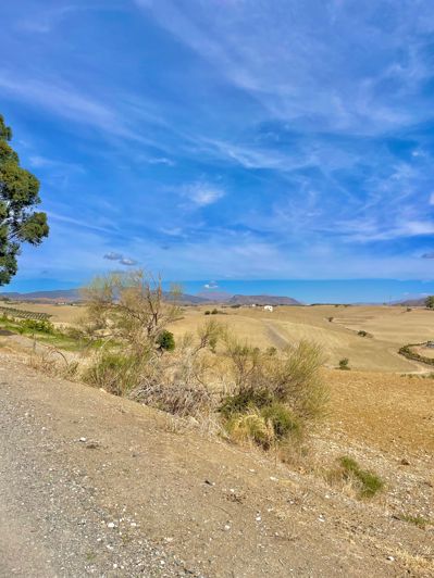 Image No.7-Plot for sale