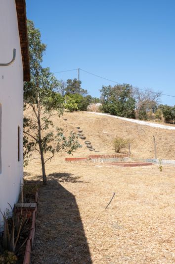 Image No.19-2 Bed Finca for sale