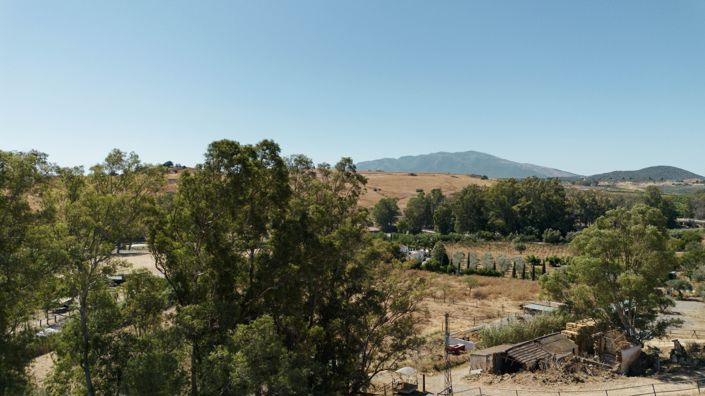 Image No.26-2 Bed Finca for sale