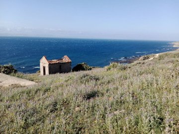 spcrm3515-eyuowmecj1khaxms