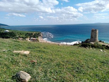 spcrm3515-nesgcktggd5ljlp5