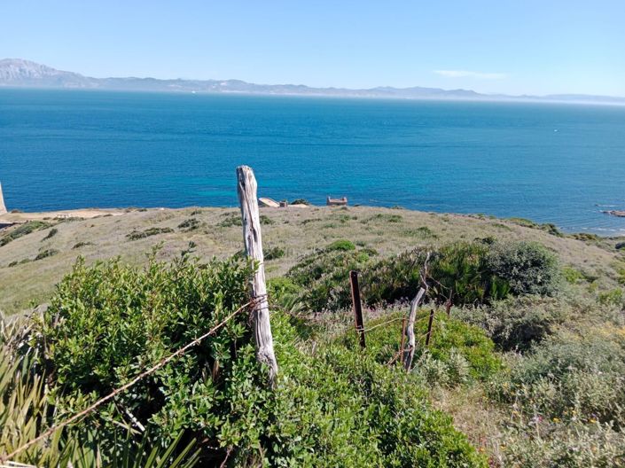 Image No.9-Plot for sale