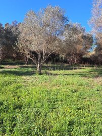 spcrm3510-gifbu1mffrps7jg3