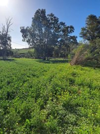 spcrm3510-fcbxjkz1h9d7g7l4