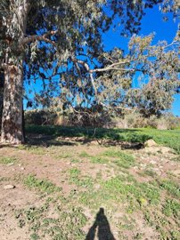 spcrm3510-419bz4gwanlrc45q