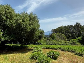 spcrm3593-fgchar40xnsmzmfy