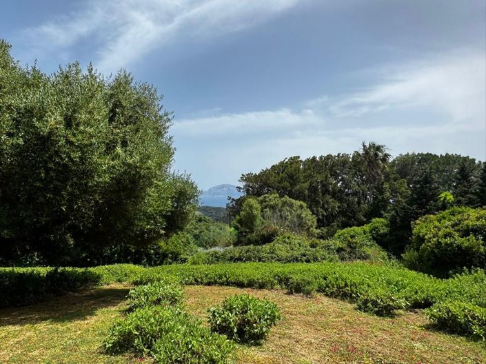 Image No.2-Terrain de 2 chambres à vendre à Tarifa