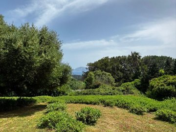 spcrm3593-z9xr36aksgj0spst