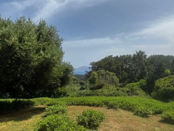 spcrm3593-ssb5tk90u9zgacgs