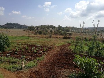 spcrm3799-4sd7f0uusif0m5rj