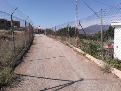 Image No.15-2 Bed Finca for sale