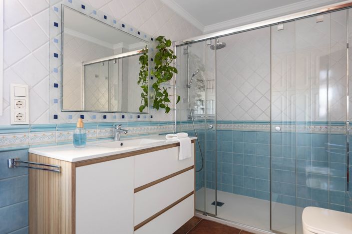 Image No.25-5 Bed House for sale