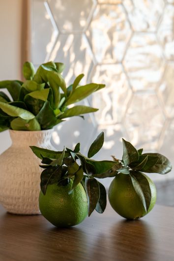 Image No.13-5 Bed Villa for sale