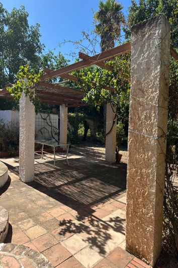 Image No.12-Finca for sale