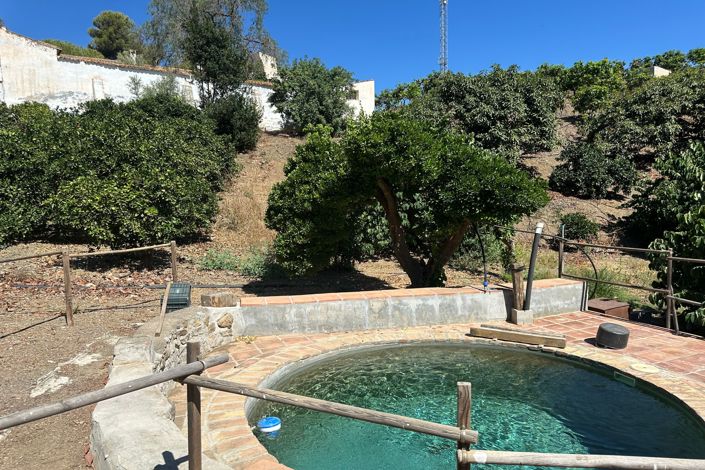 Image No.4-Finca for sale