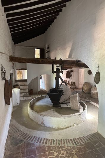 Image No.6-Finca for sale