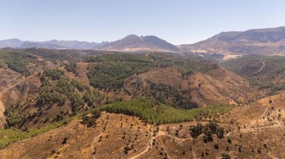 spcrm3850-8gdx6r8ggh1tgmjq