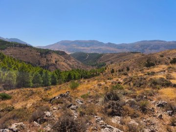 spcrm3850-27sxrrkc412mgptn