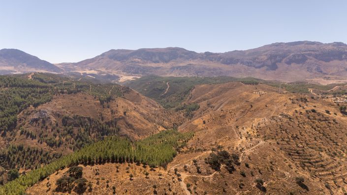 Image No.5-Terrain à vendre à Antequera