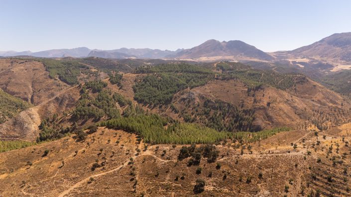 Image No.6-Terrain à vendre à Antequera