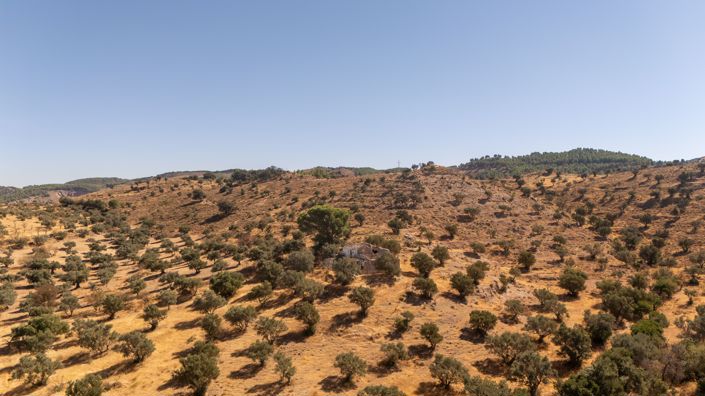 Image No.9-Terrain à vendre à Antequera