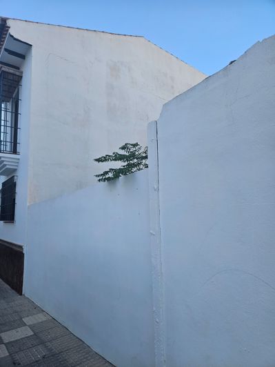 Image No.10-Plot for sale