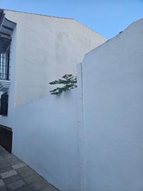 spcrm3952-eomxjupoj7opp07t