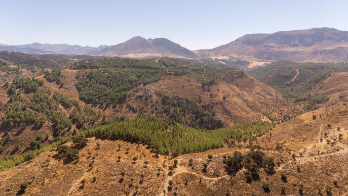 Image No.9-Villa à vendre à Antequera