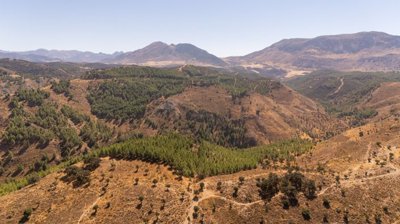 spcrm4012-vjox7tu5ynqljfv1