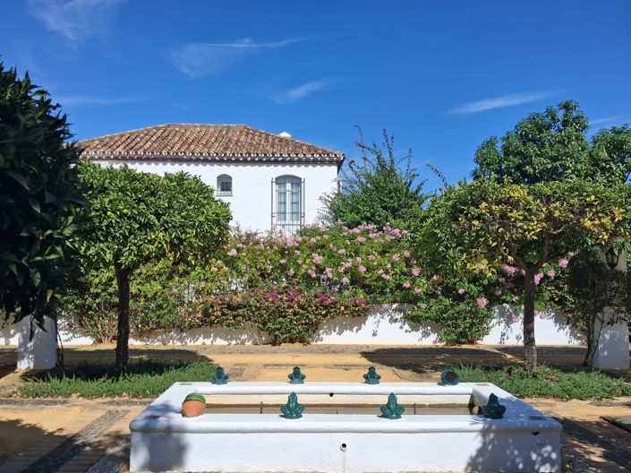 Image No.3-2 Bed Penthouse for sale