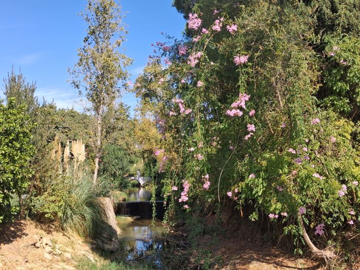 Image No.26-2 Bed Penthouse for sale