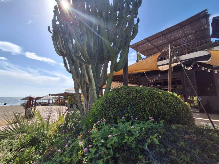 Image No.19-2 Bed Penthouse for sale