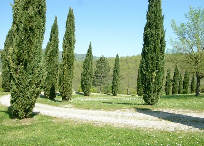 Image No.19-7 Bed House/Villa for sale