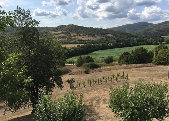 Image No.21-7 Bed House/Villa for sale